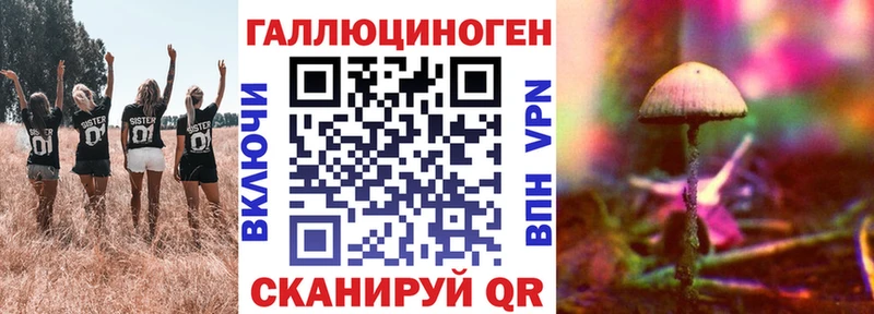 купить  цена  Кодинск  блэк спрут ССЫЛКА  Галлюциногенные грибы прущие грибы 